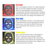 Fabricly LED Light Therapy Face Mask