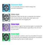 Fabricly LED Light Therapy Face Mask